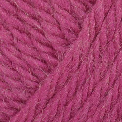 Bild på Alpe Azalea Pink 36115