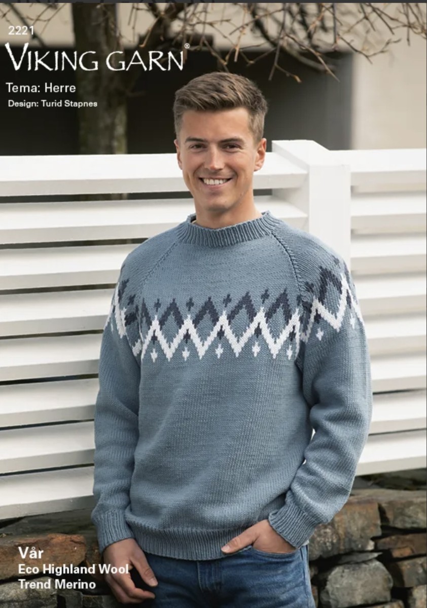 Bild på Mönsterkatalog till herr från Viking Garn 2221