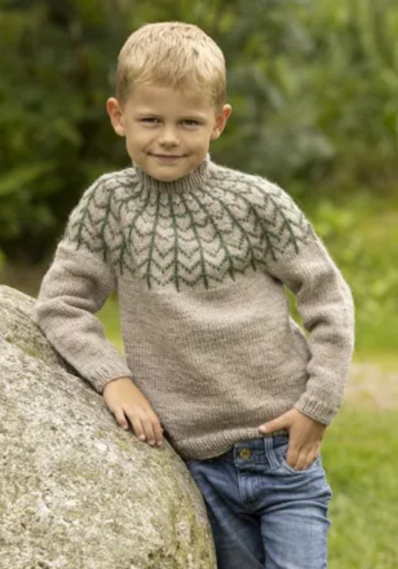 Bild på Mönsterkatalog för barn i Viking Wool 2332
