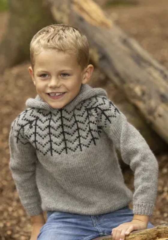 Bild på Mönsterkatalog för barn i Viking Wool 2332