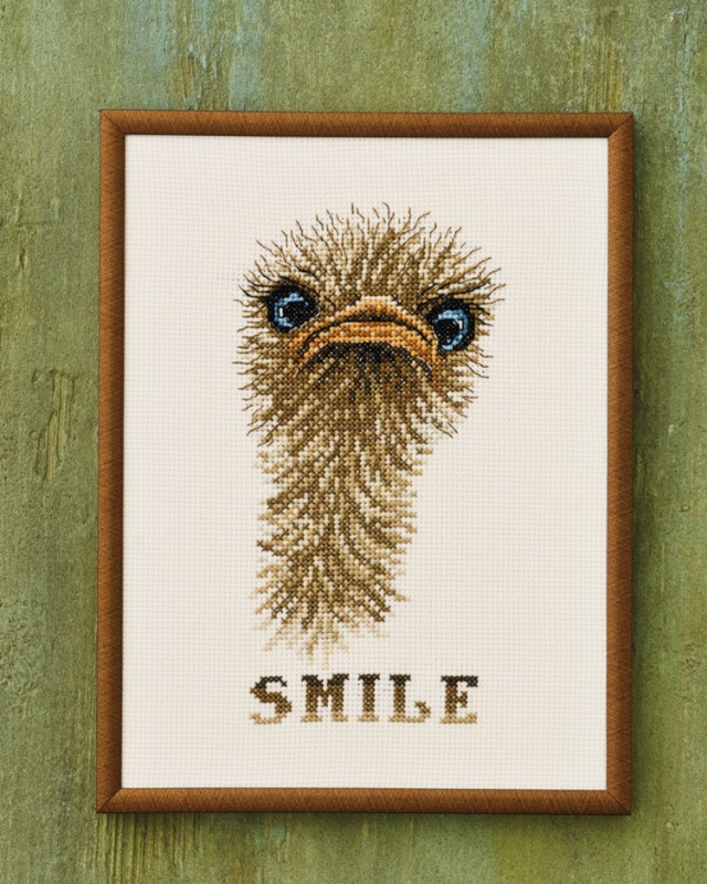 Bild på Smile strut