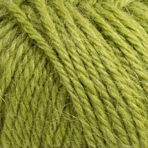 Bild på Alpacka Green Chameleon 15