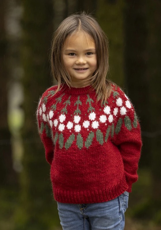 Bild på "Misteltoe" stickad i Viking Wool ingår i mönsterkatalog 2431