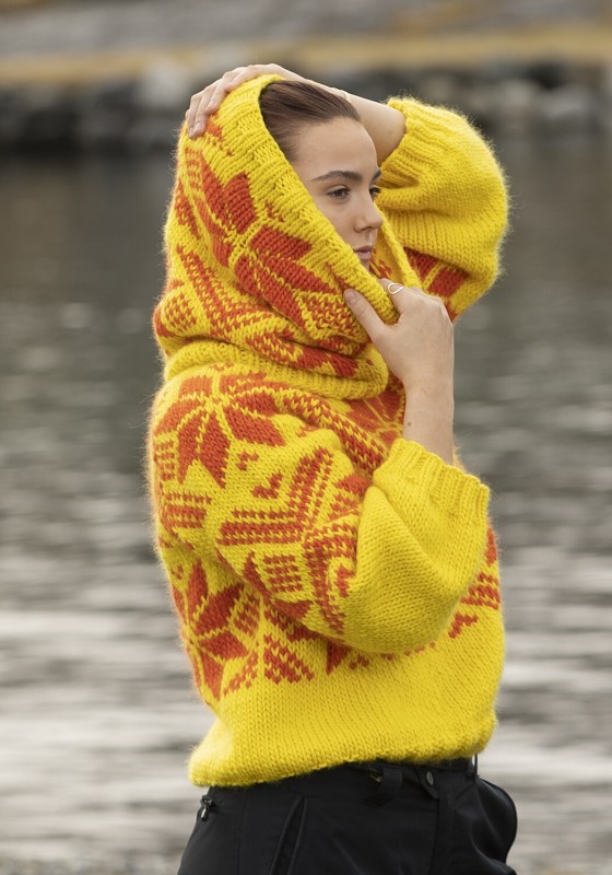 Bild på Snoi