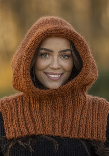 Bild på Hood