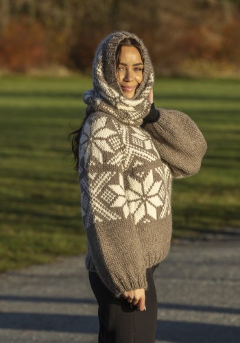 Bild på Snoi