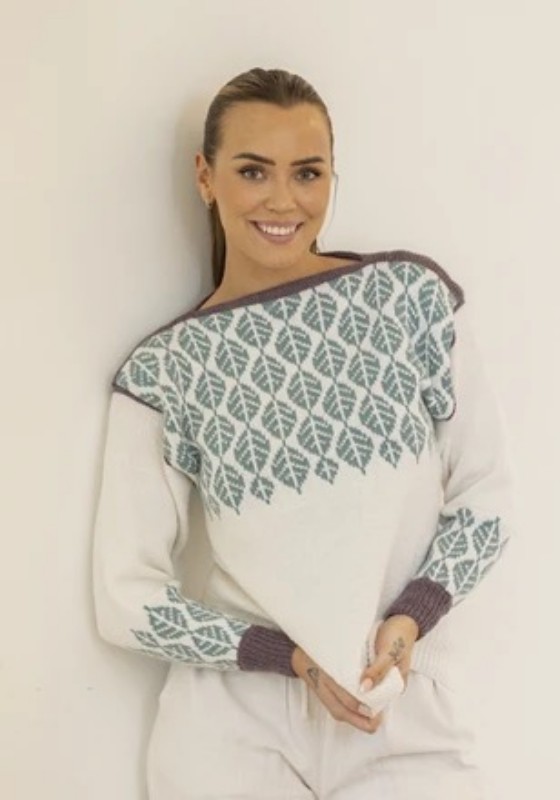 Bild på Mönsterkatalog 2504 stickat i Alpaca Liten Storm
