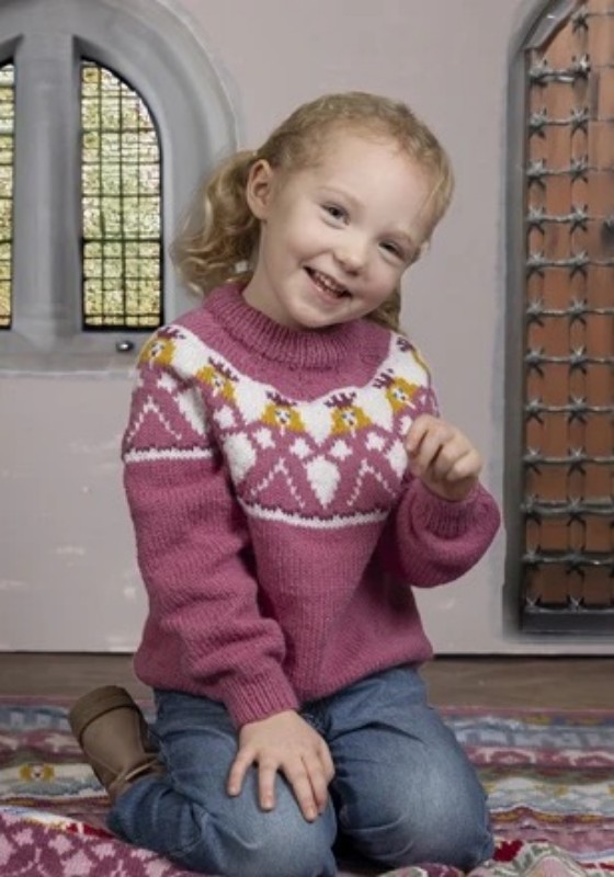 Bild på Mönsterkatalog "Prinsessa" stickat i Alpaca Storm 2505