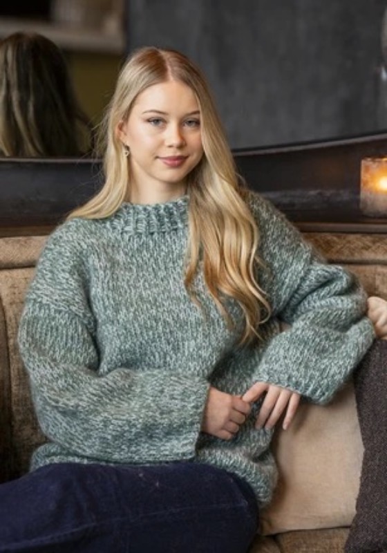 Bild på Dam mönsterkatalog i Alpaca Bris 2510 