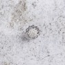 Bild på Knapp i strass - 20 mm