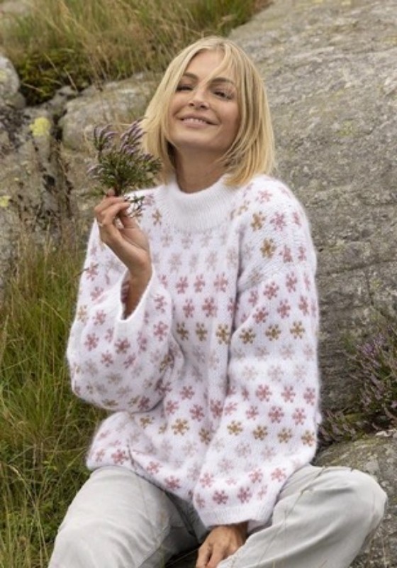 Bild på Mönsterkatalog  från Viking Garn i alpaca Bris 2519