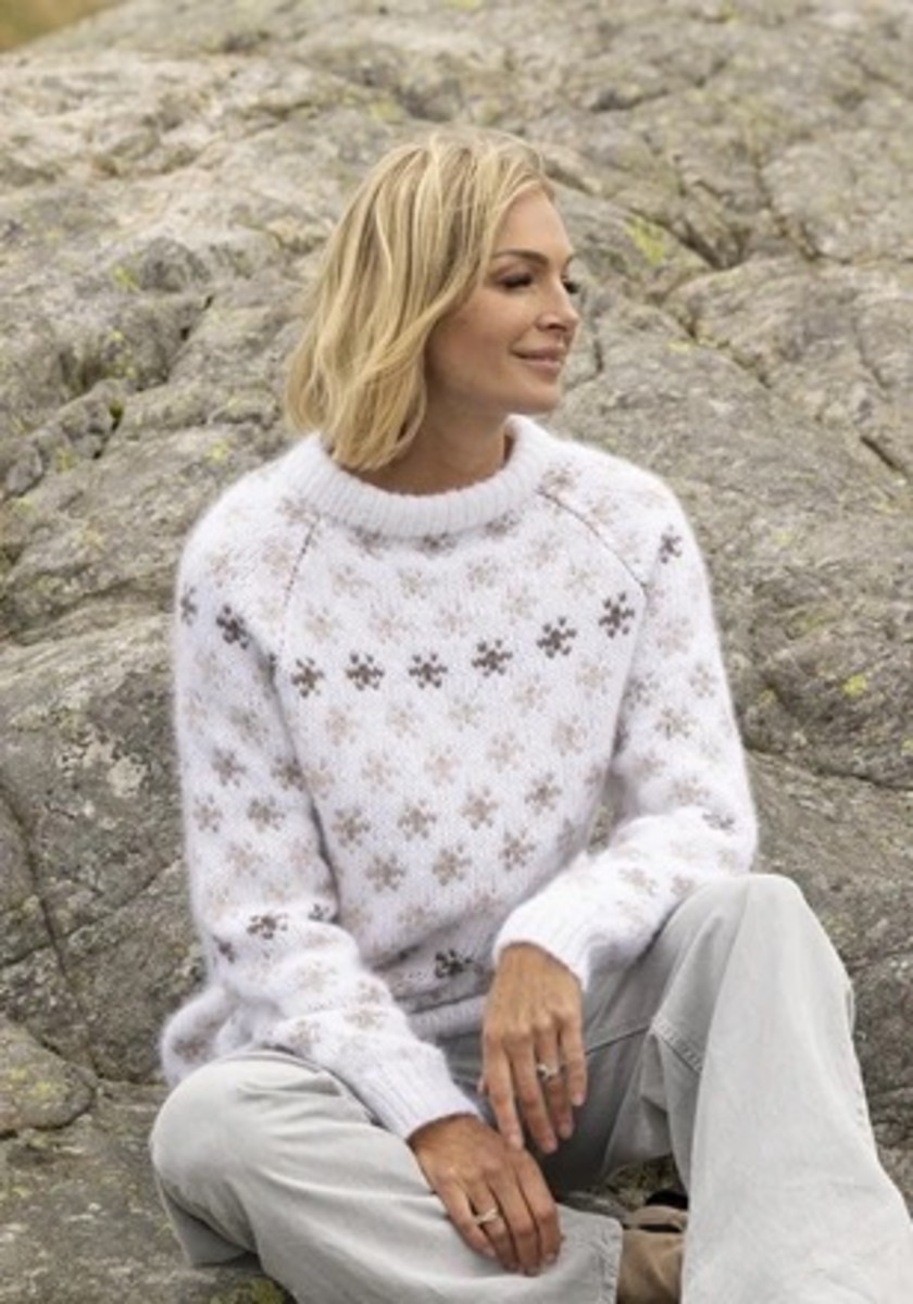 Bild på Mönsterkatalog  från Viking Garn i alpaca Bris 2519