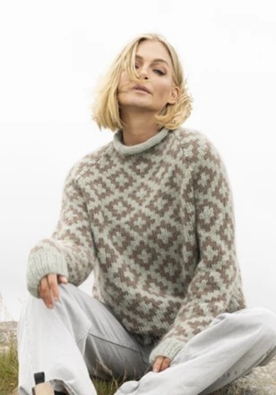 Bild på Mönsterkatalog  från Viking Garn i alpaca Bris 2519