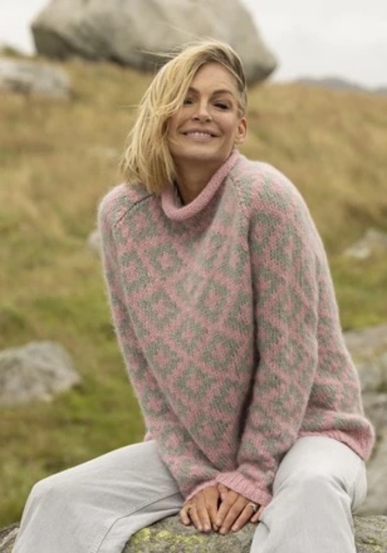 Bild på Mönsterkatalog  från Viking Garn i alpaca Bris 2519