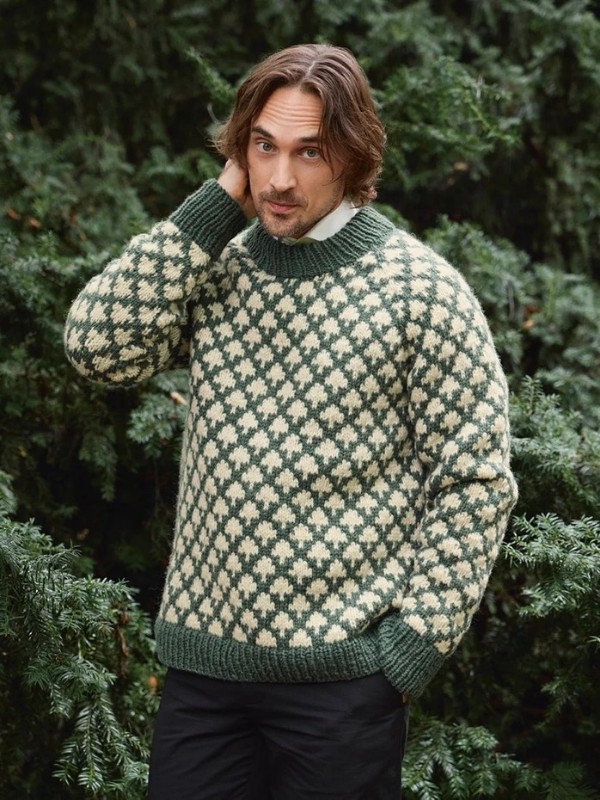 Bild på "CHRISTMAS TREE SWEATER MAN" stickad i Fritidsgarn 2511-3